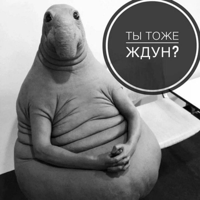 Астролог назвал дату начала третьей мировой войны