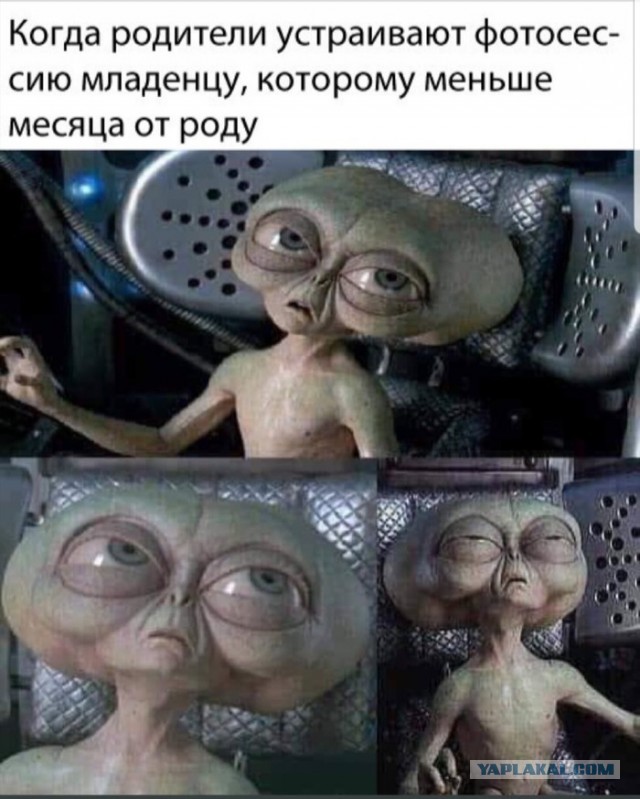 Самые смешные картинки с черным юмором за май-июнь 2024 года