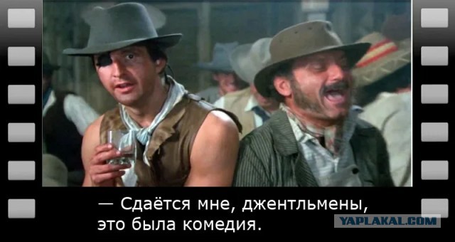 Так вот ты какая, ирландская сторожевая!
