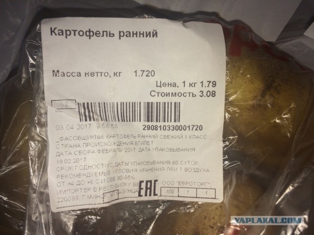 КНДР начнёт поставлять в Россию яблоки