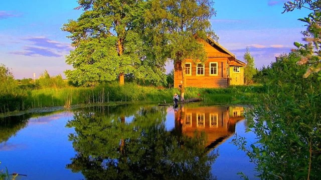 В Сети разместили фото с настоящего «человейника» в Кудрово