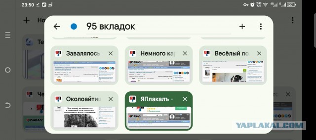 Нуштош 12.09.2024