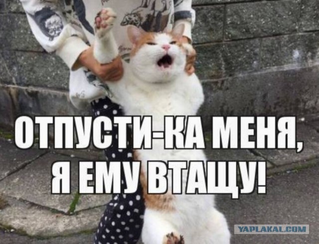 Не провоцируйте Кадырова, дон.
