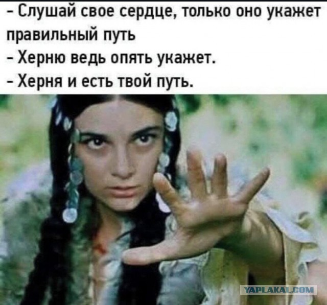 Весёлый полтишок 29.12.24