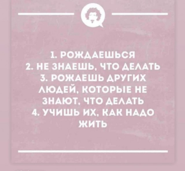 Юмор для тех, кто уже повзрослел и понял, что «выходные» — это просто два дня на уборку
