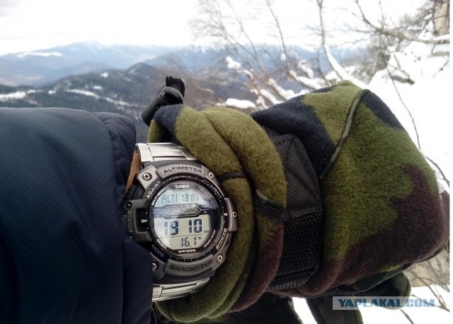 Ваши первые Casio