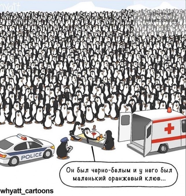 Так себе картинки 24.08.25