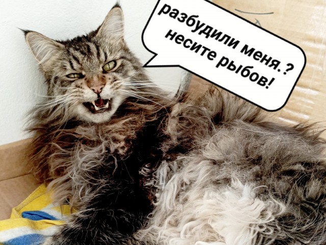 Клуб рабов пополнился
