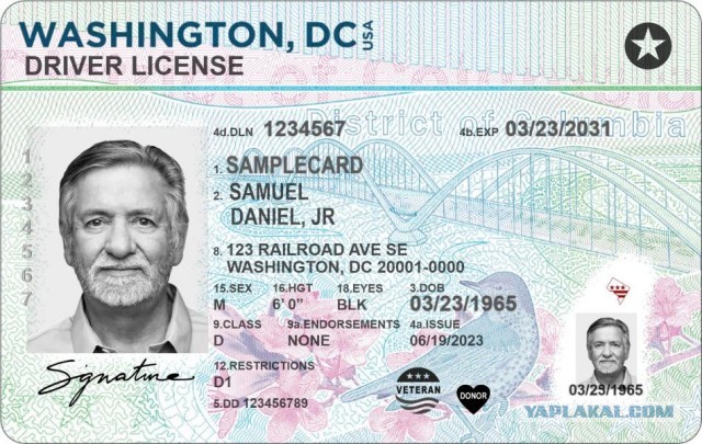 Почему у многих жителей США нет паспортов