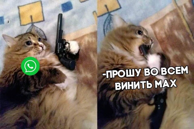 Субботние картинки