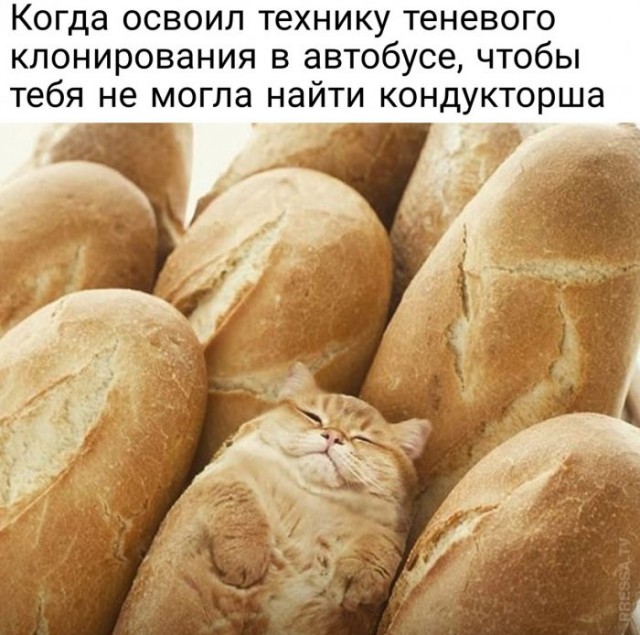 Веселые картинки в понедельник (12.01)
