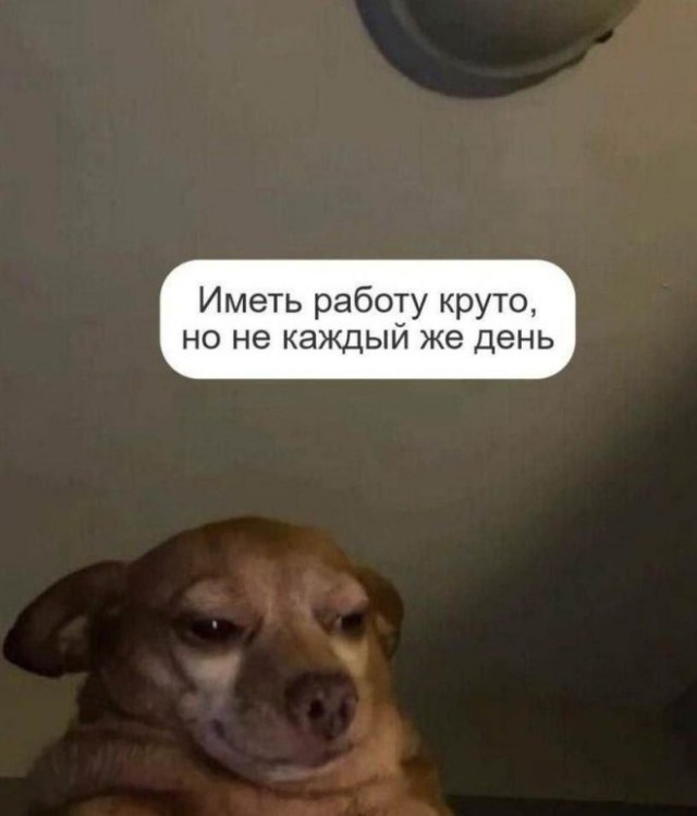 Картиночки, баянчики 05 февраля