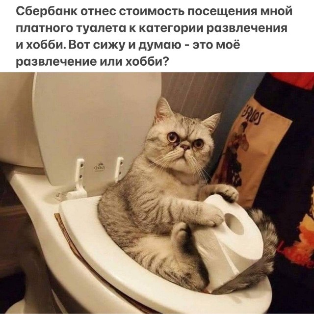 Так себе картинки 15.02.26