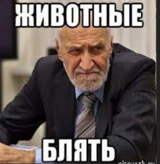 Во Флориде запустят круиз для свингеров