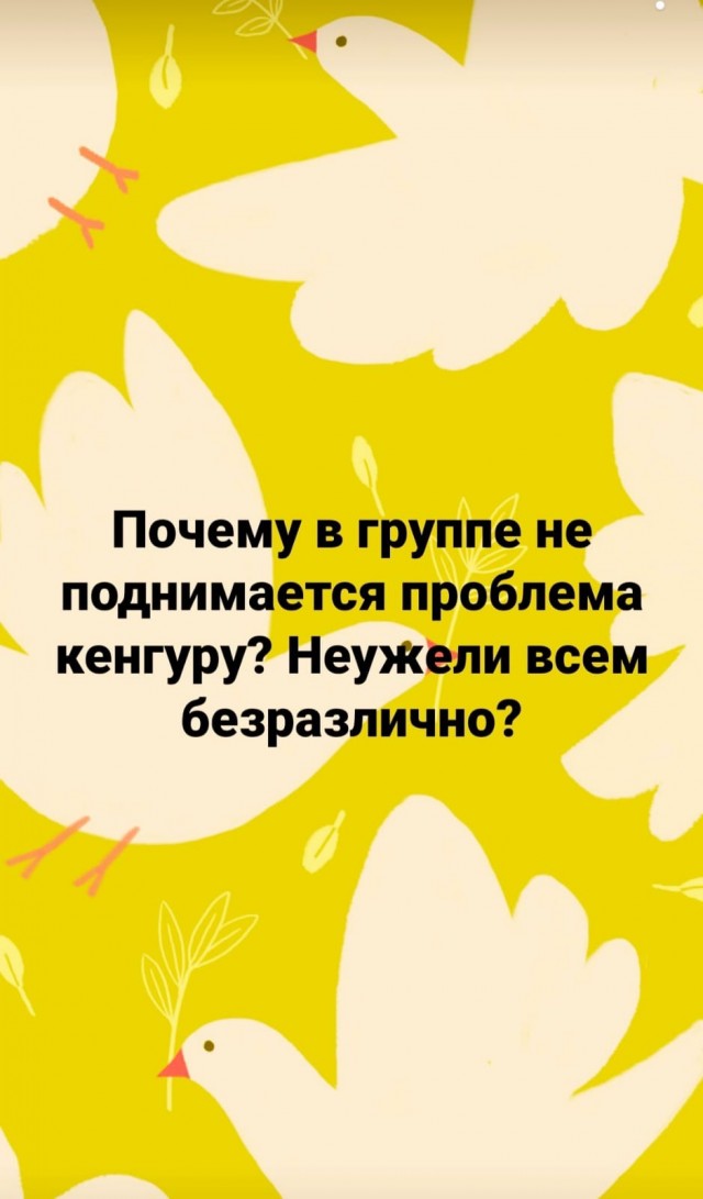 Картинки для деградации 158 (разной степени свежести)