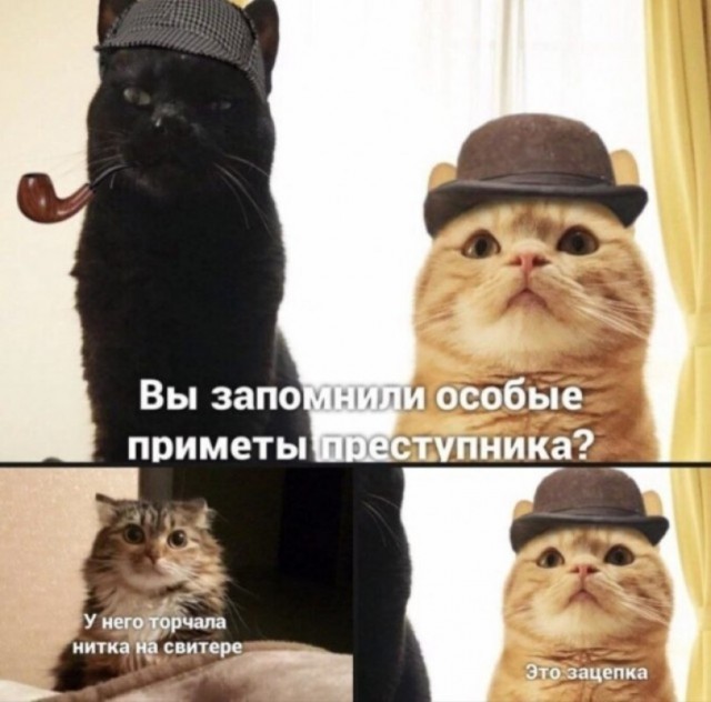 Воскресные картинки