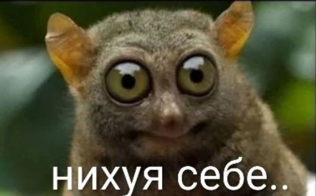 Рынок труда стареет: россиянам могут предложить работать до 70 лет