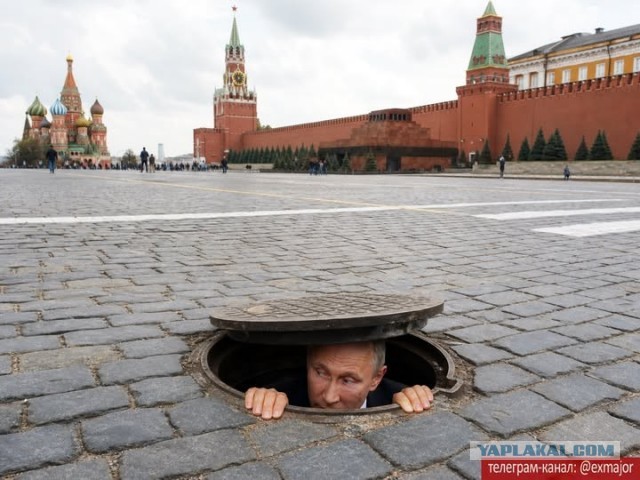 Минобороны России объявило о  перемирии 8 и 9 мая