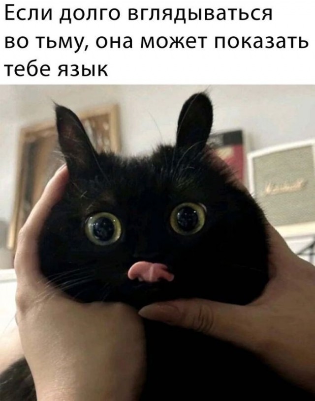 Так себе картинки 19.06.26