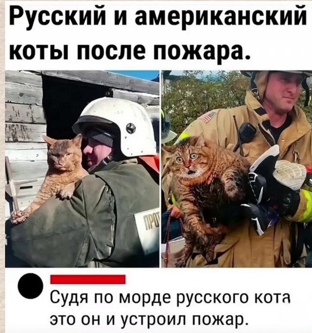 Так себе картинки 22.08.26