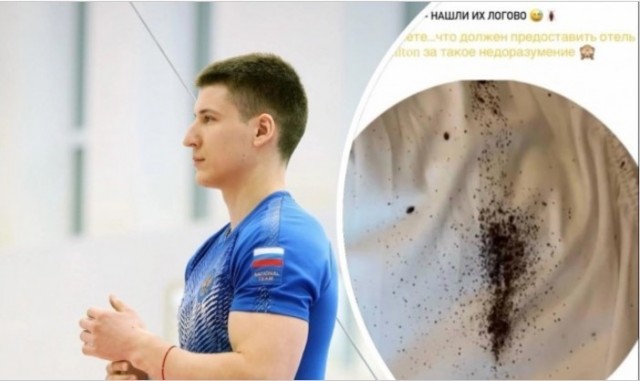 Тренера сборной России по спортивной гимнастике из Волгограда искусали клопы в отеле Роттердама