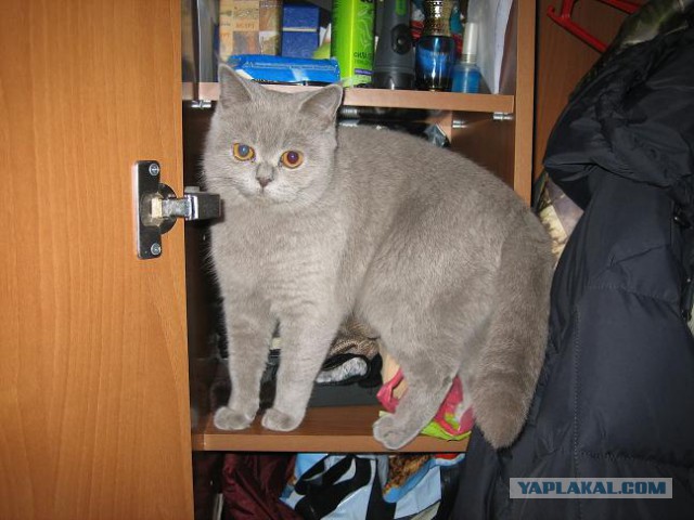 Не все рады концу рабочей недели...