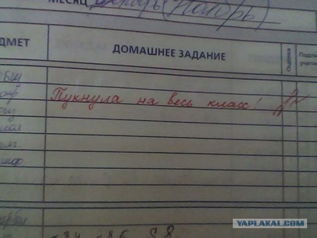 Подруга нашла свои старые дневники за 3 класс