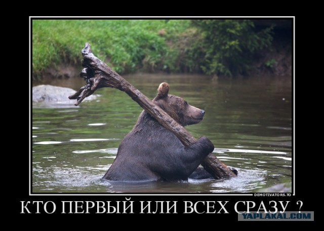 Польша вступает в войну?