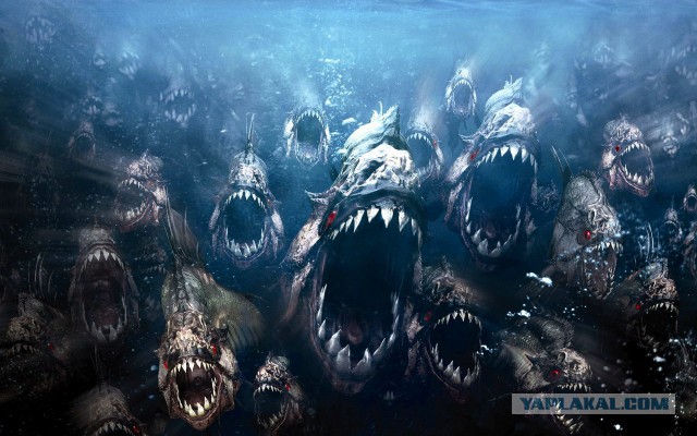 Взял жену на рыбалку