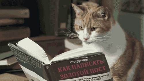 Как я захожу на ЯП во вторник