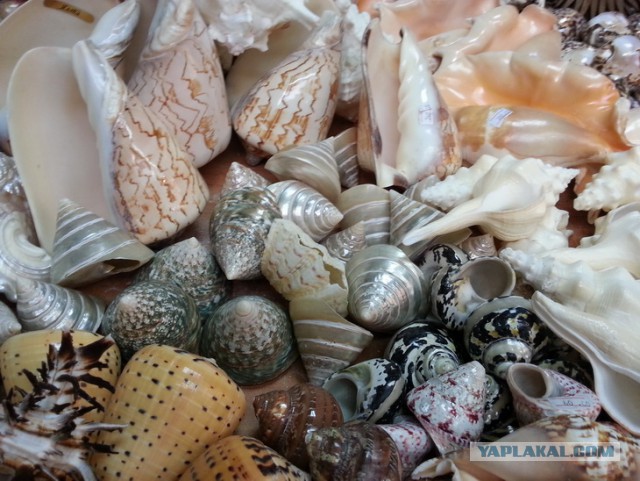 Дорога из Киева и из Москвы в Ялту.