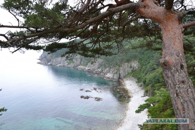 Бухта Теляковского