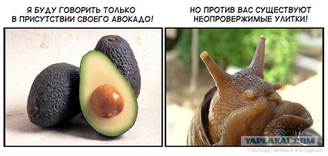Чуть картинок