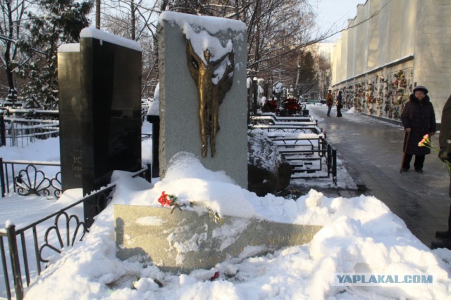 Ваганьково. 25 января 2015 года.