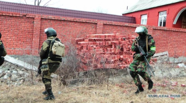 Проверка паспортного режима