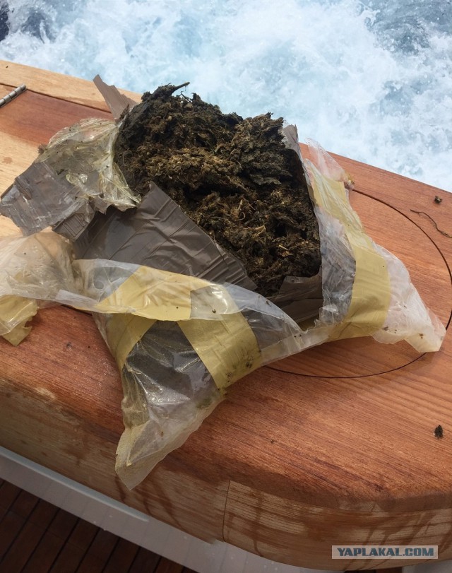 "Улов друга на глубоководной морской рыбалке"