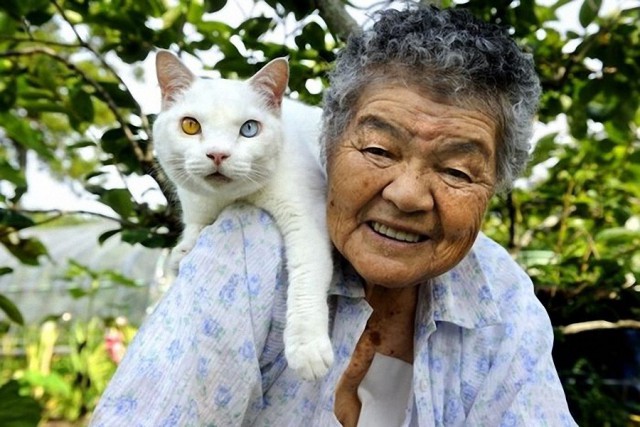 Бабушка и её кошка