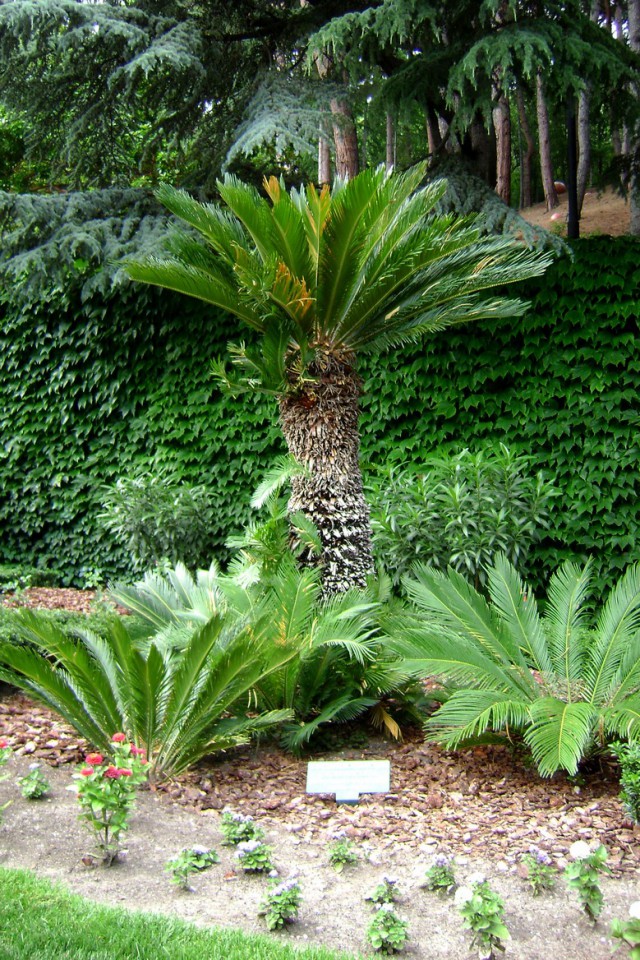 Крым как он есть