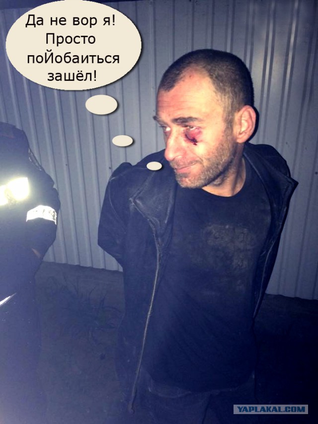 Япония — родина сексуальных извращений