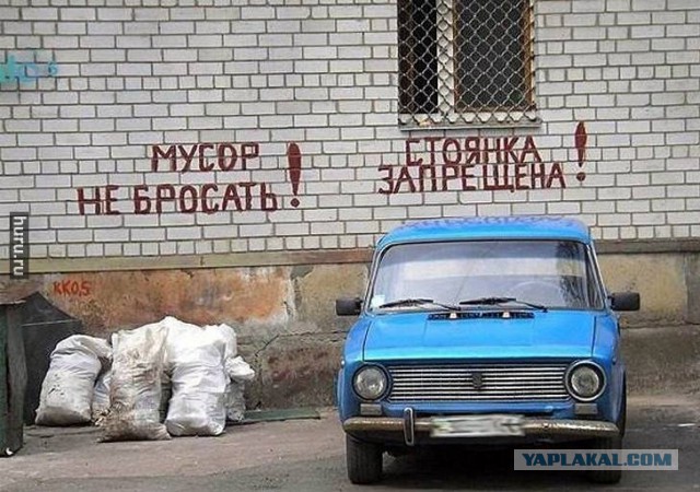 Нужный момент, удачный ракурс