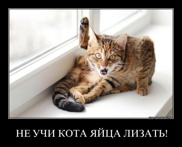 Чистим яйца правильно