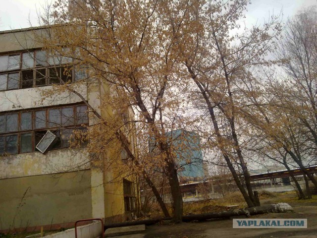 По мотивам С.Т.А.Л.К.Е.Р.а