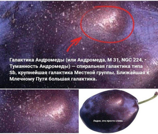 Картинки для настроения в пятницу.