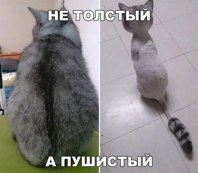 Нестандартный юмор