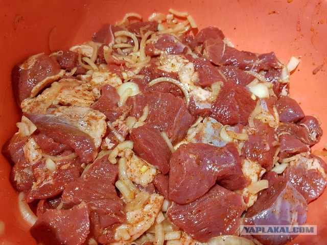 Шашлык, рецепты маринада, все про шашлык!