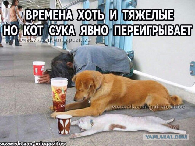 Нет времени ждать пятницу - деградируем здесь и сейчас