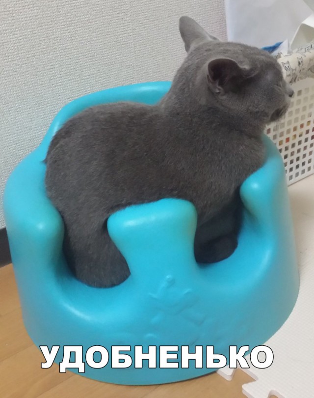 Немного милоты