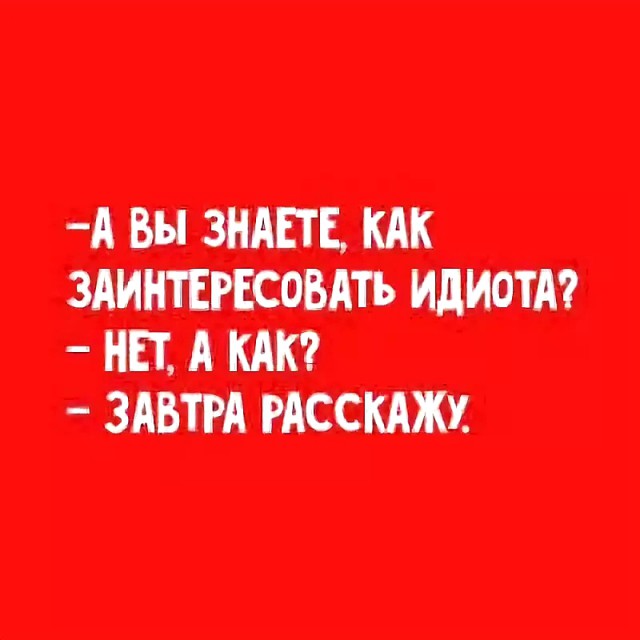 знаешь как заинтриговать человека завтра расскажу. как заинтересовать идиота. знаешь как заинтриговать завтра скажу. как заинтриговать расскажу завтра. адриано челентано знаешь что такое интрига.