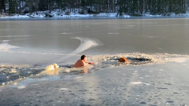Парень с собакой спас из замерзшего пруда двух псов