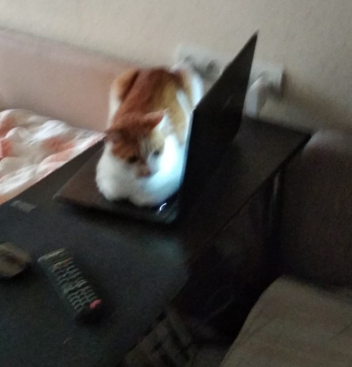 Как назвать?